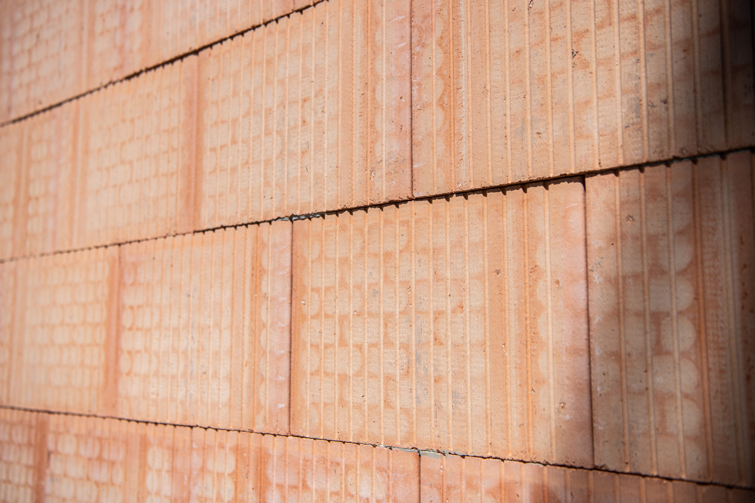 Mn Bau Einfamilienhaus Fussach Vorarlberg (11)